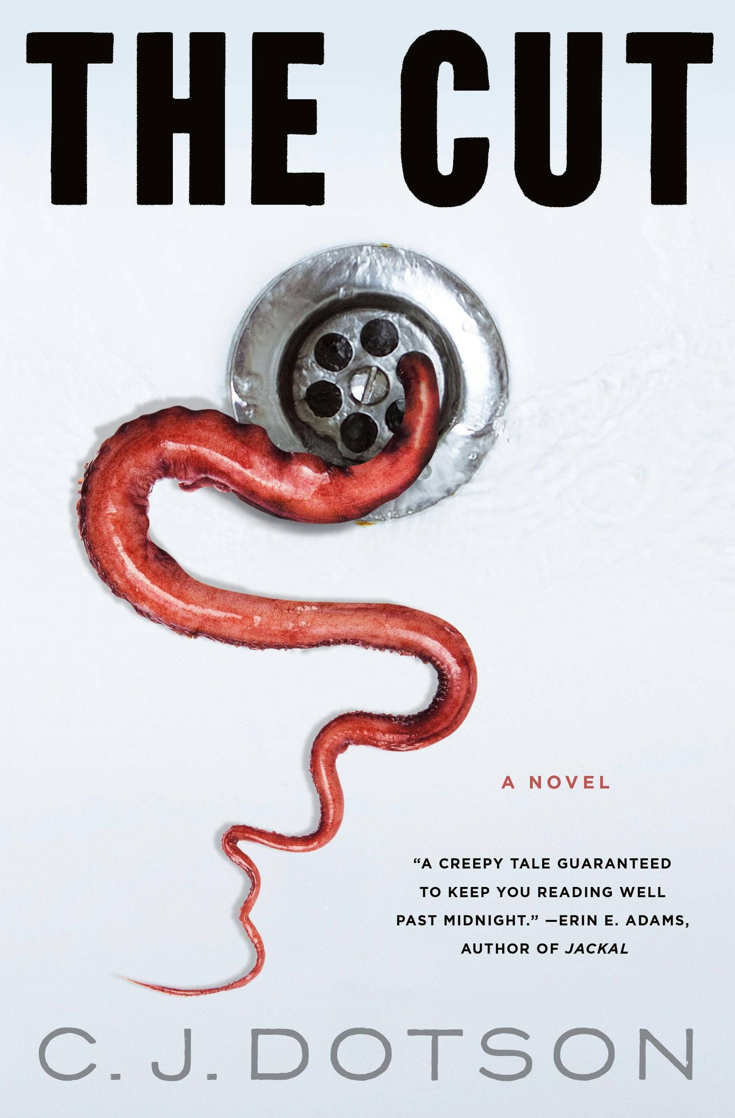 Cut: A Novel