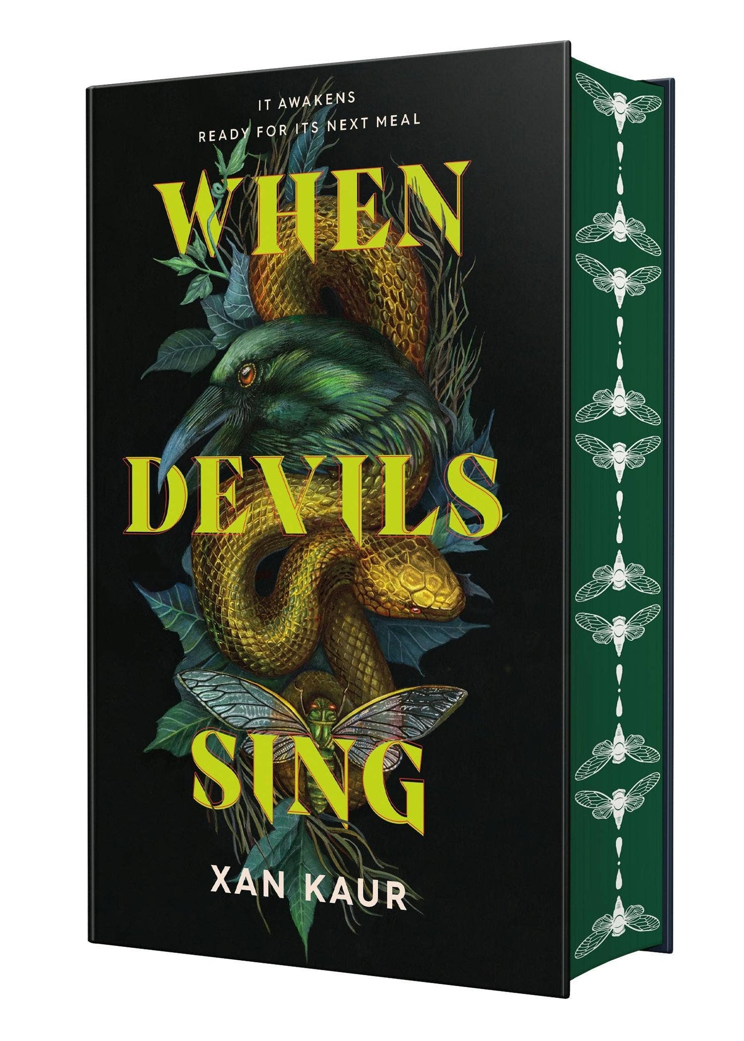 USED-When Devils Sing-Stenciled