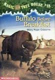 Buffalo Before Breakfast cover image
