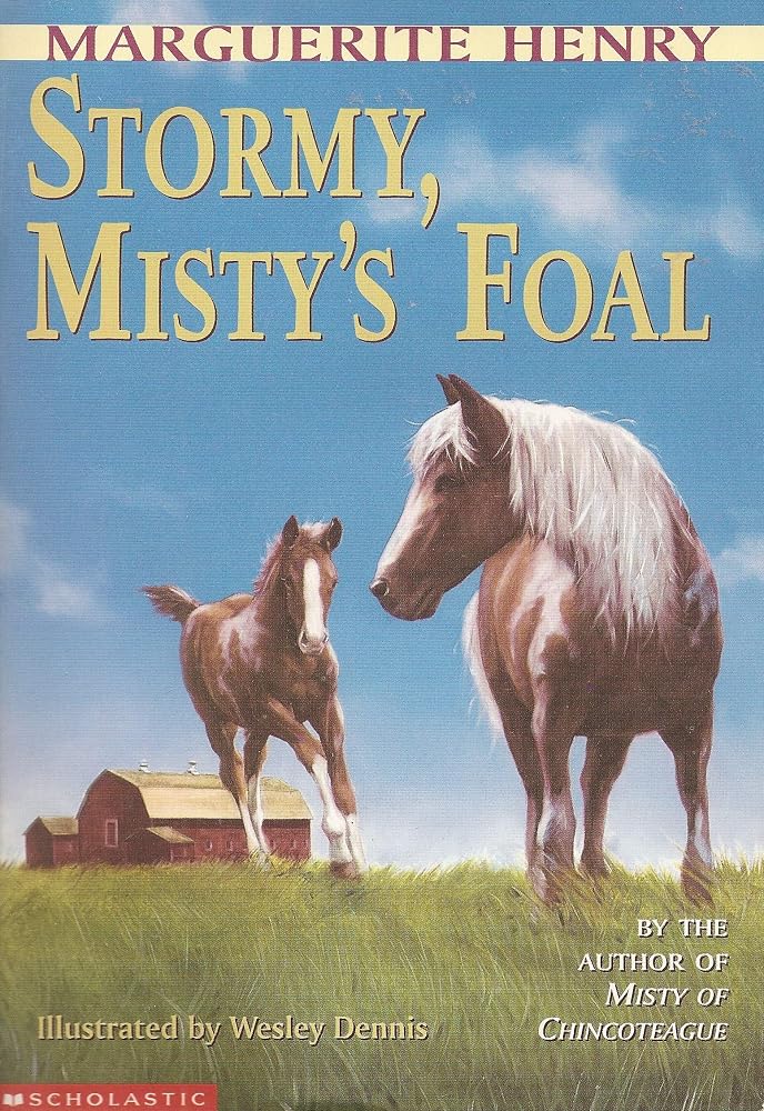 Stormy, Misty's Foal. cover image