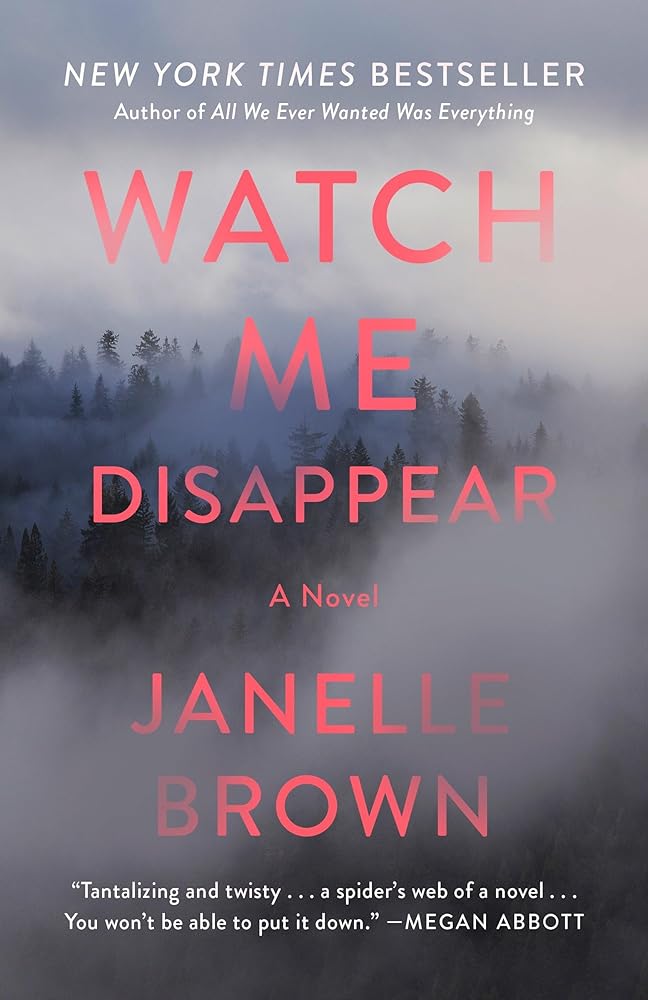 Watch Me Disappear: A Novel cover image