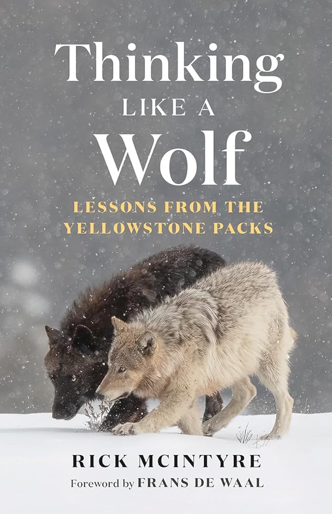 Thinking Like a Wolf: Lessons From the Yellowstone Packs (The Alpha Wolves of Yellowstone) cover image