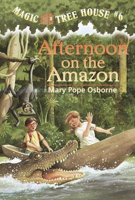 USED-Afternoon on the Amazon