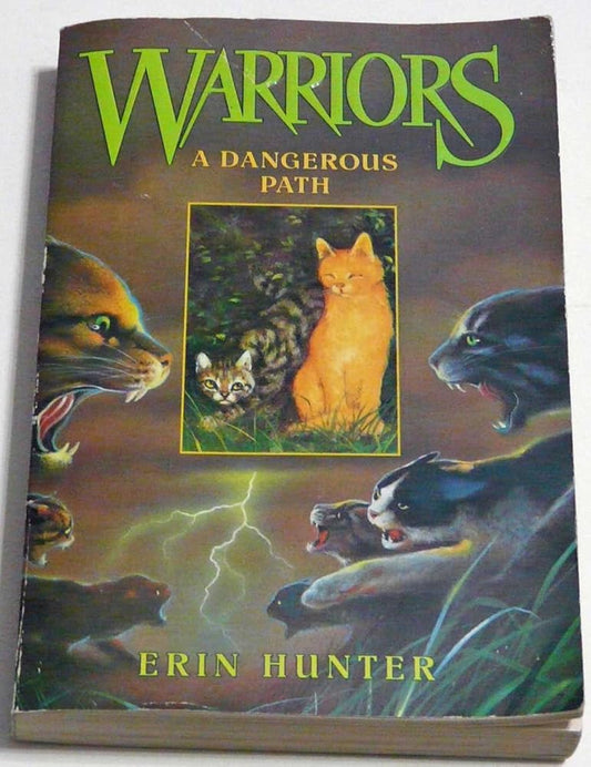 A Dangerous Path (Warriors #5) cover image