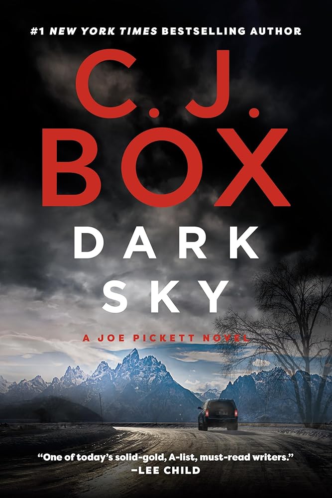 Dark Sky (A Joe Pickett Novel) cover image