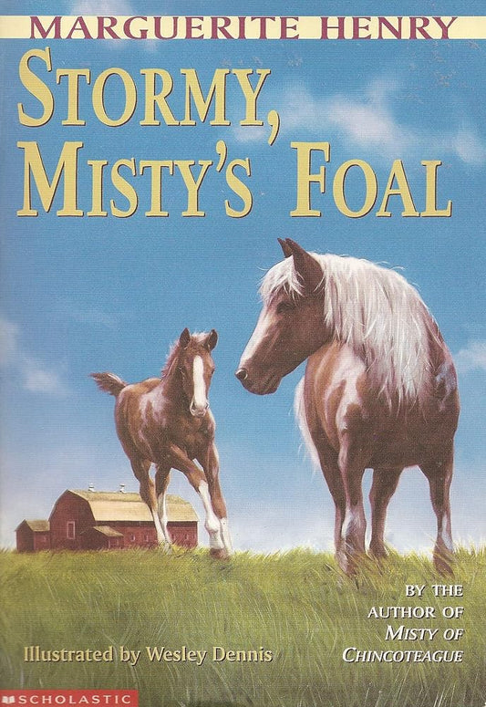 Stormy, Misty's Foal. cover image