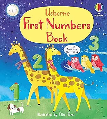 First Numbers Book cover image