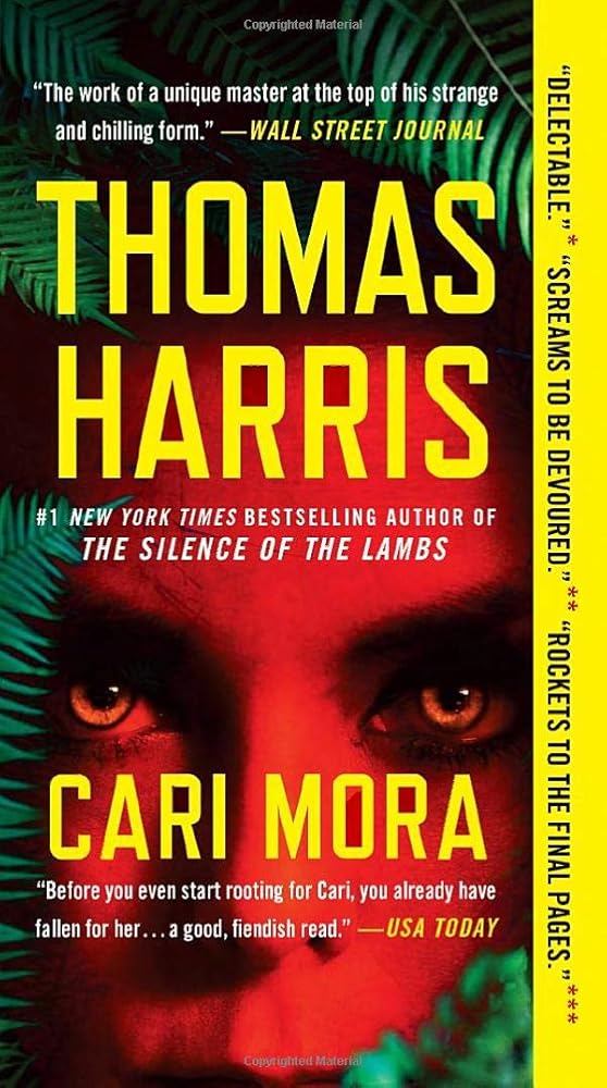 Cari Mora: A Novel cover image