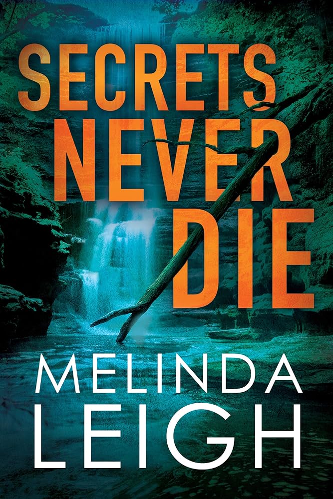 Secrets Never Die cover image