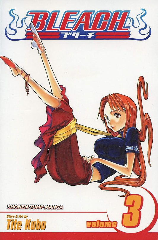 Bleach, Vol. 3 cover image
