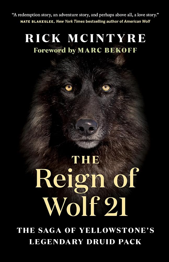 The Reign of Wolf 21: The Saga of Yellowstone's Legendary Druid Pack (The Alpha Wolves of Yellowstone, 2) cover image