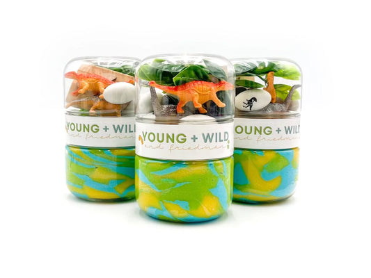 Dinosaur Grab and Go Playdough