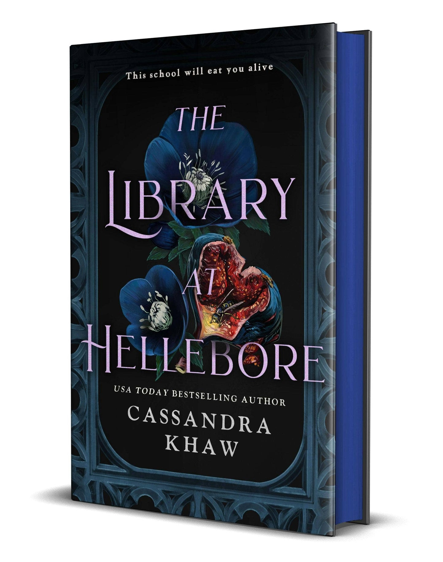 Library At Hellebore (Spryd Edge)