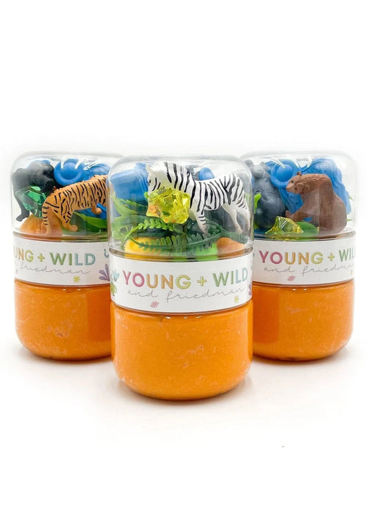 Zoo Grab and Go Playdough